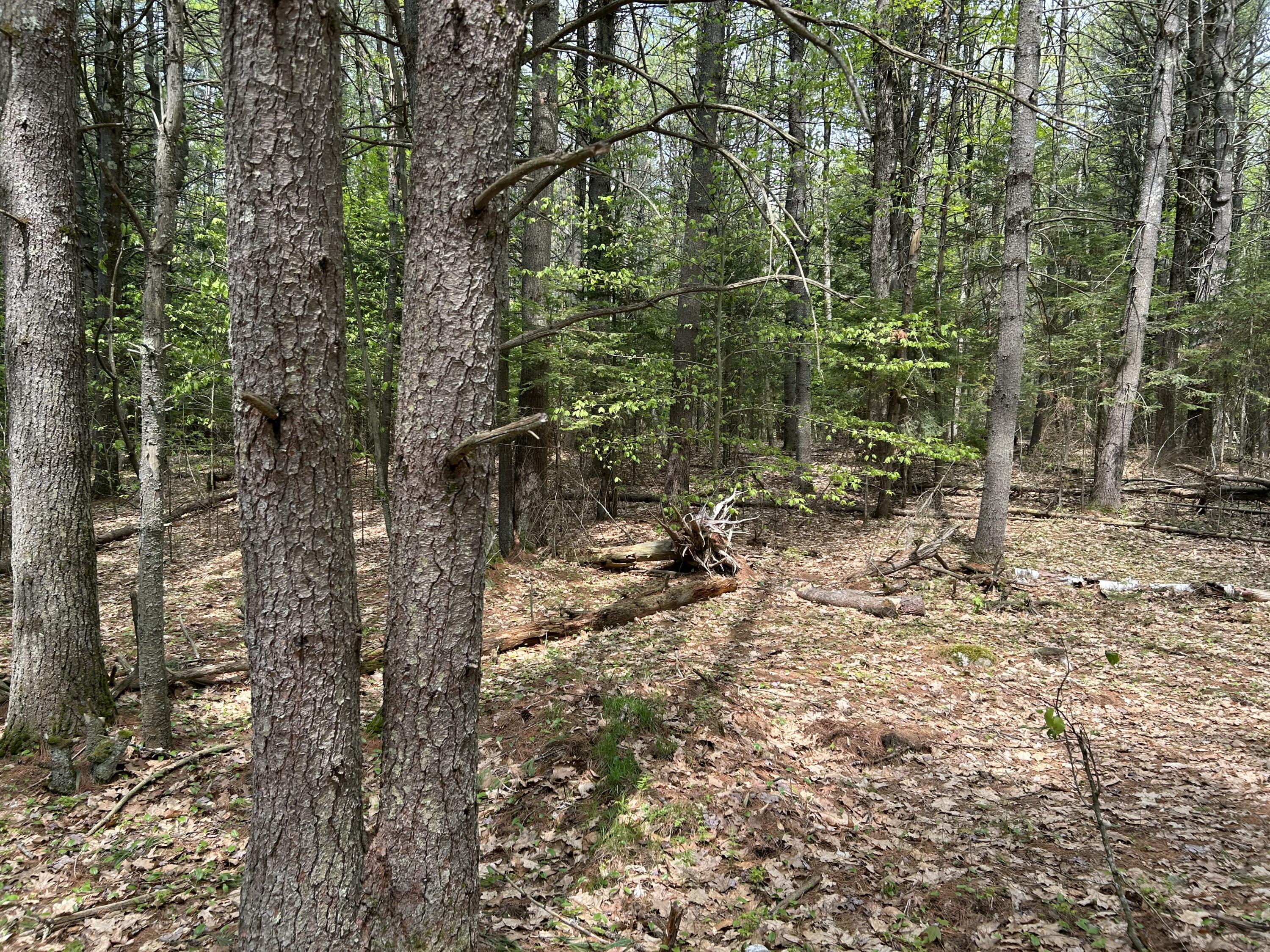 281 Randall Road Lewiston, ME 04240 - Photo 30 of 31