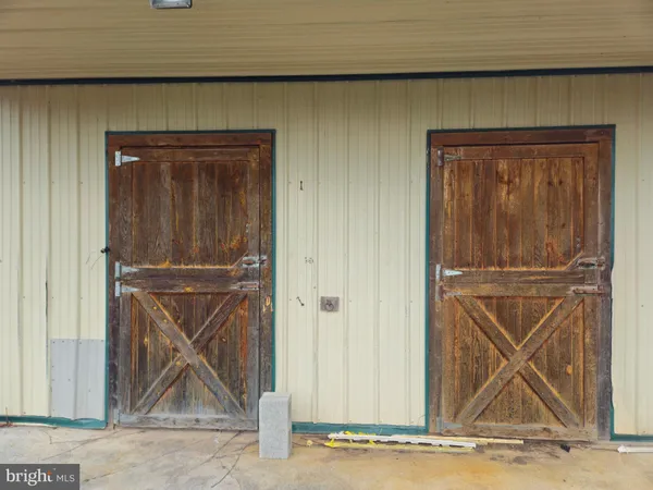 a view of a yard with large trees