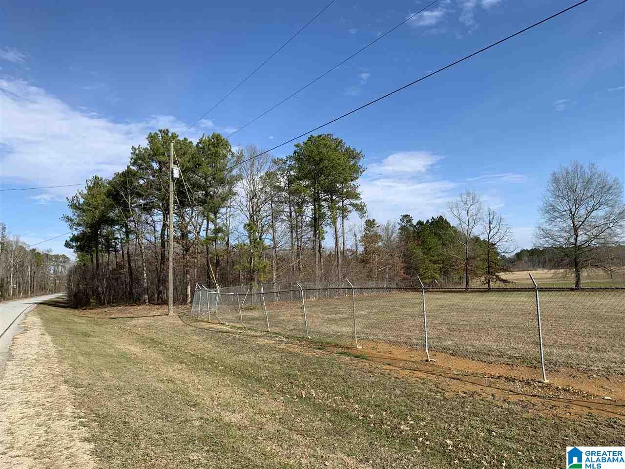 15-acres Crump Road, Unit 15 ACRES Steele, AL 35987 - Photo 2 of 9