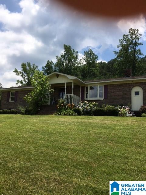 17220 Highway 46 Ranburne, AL 36273 - Photo 1 of 19