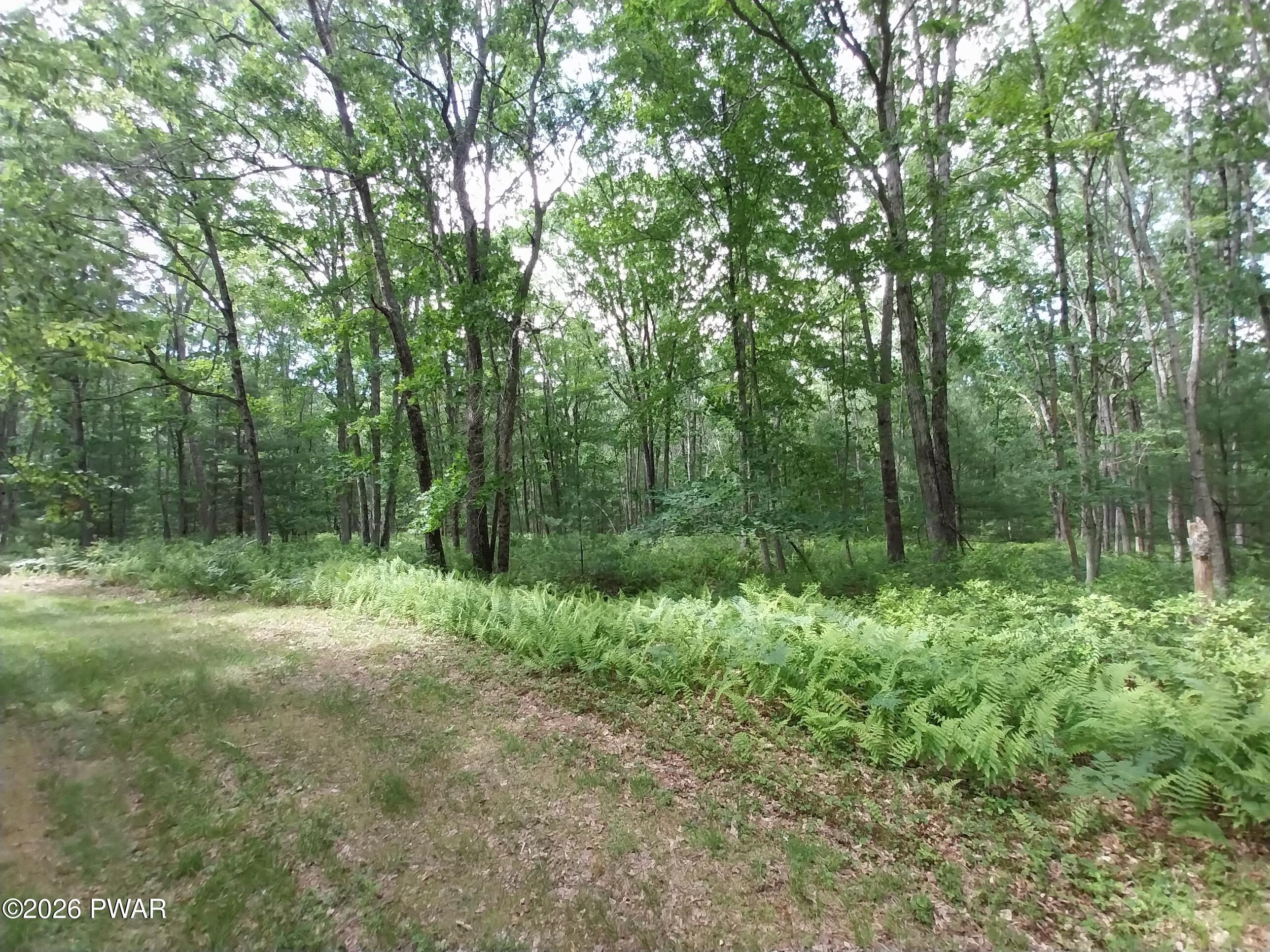 Lot 10 Whispering Oaks Road Greeley, PA 18425 - Photo 5 of 7