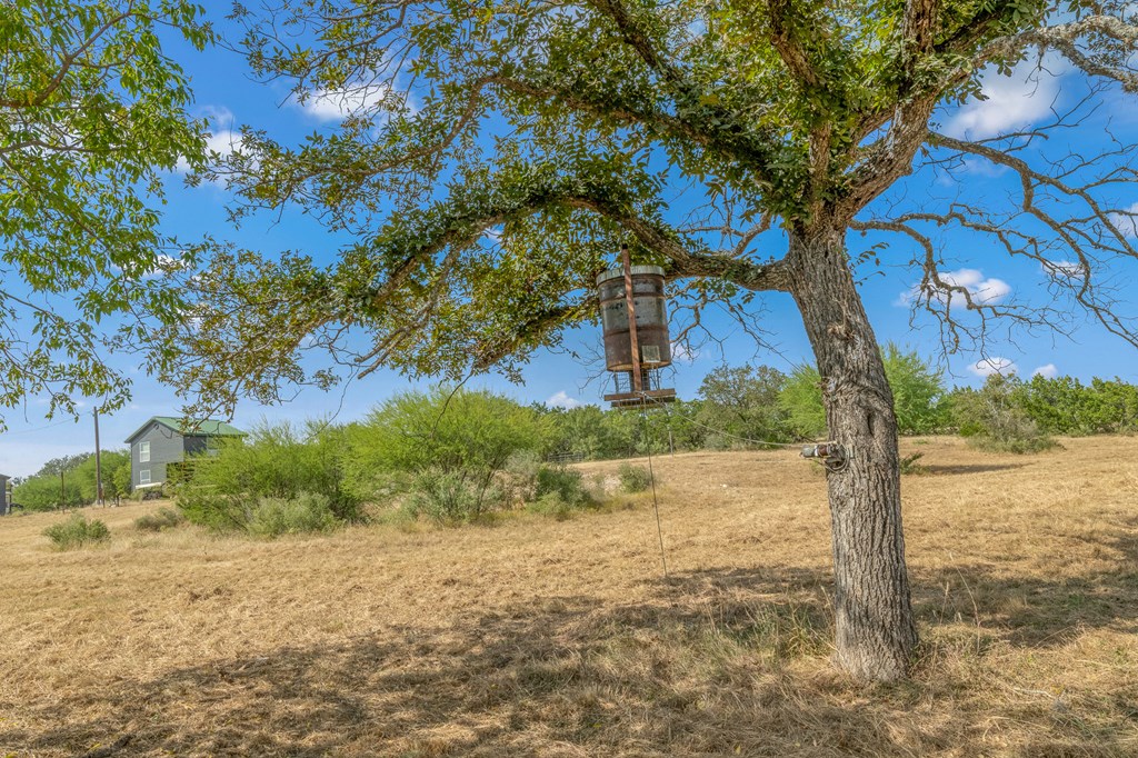 677 Kahn Drive Rio Frio, TX 78879 - Photo 19 of 32