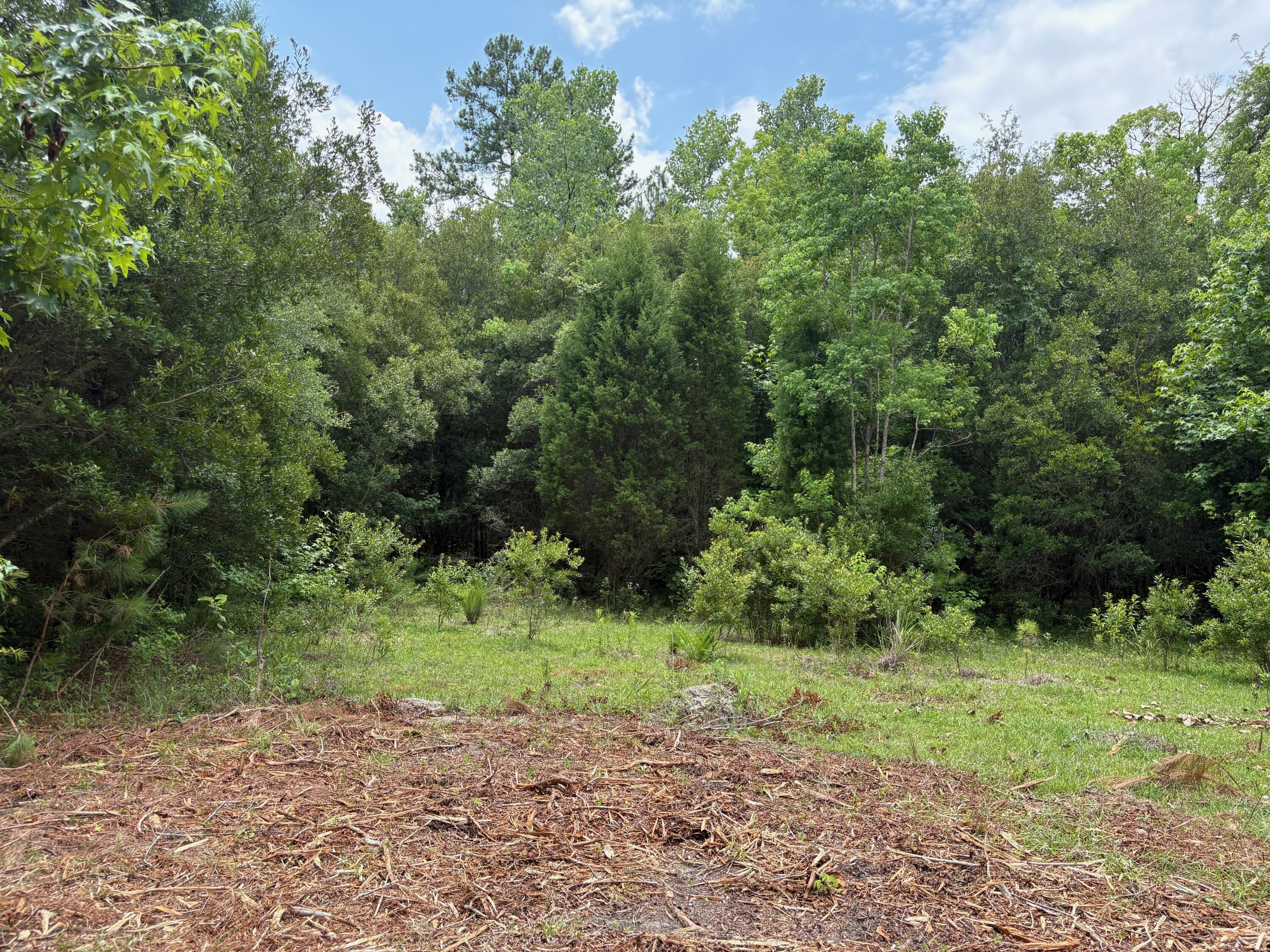 0 Bushy Park Road Moncks Corner, SC 29461 - Photo 4 of 13 IMG_9108