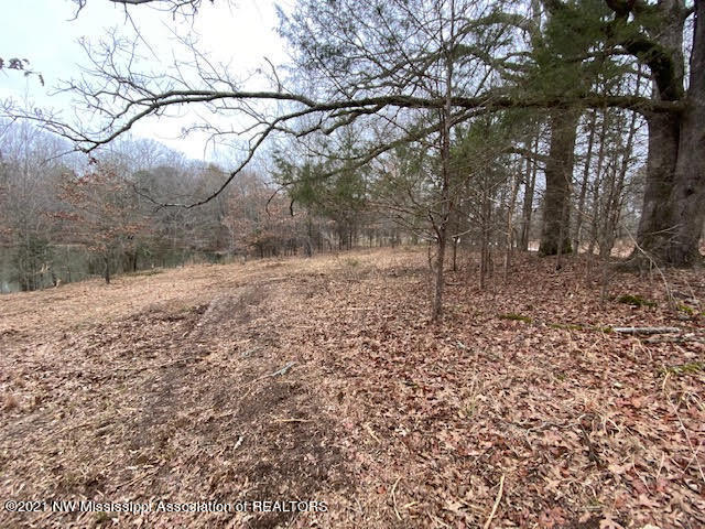 0 Farley Road Byhalia, MS 38611 - Photo 3 of 6 unnamed (2)