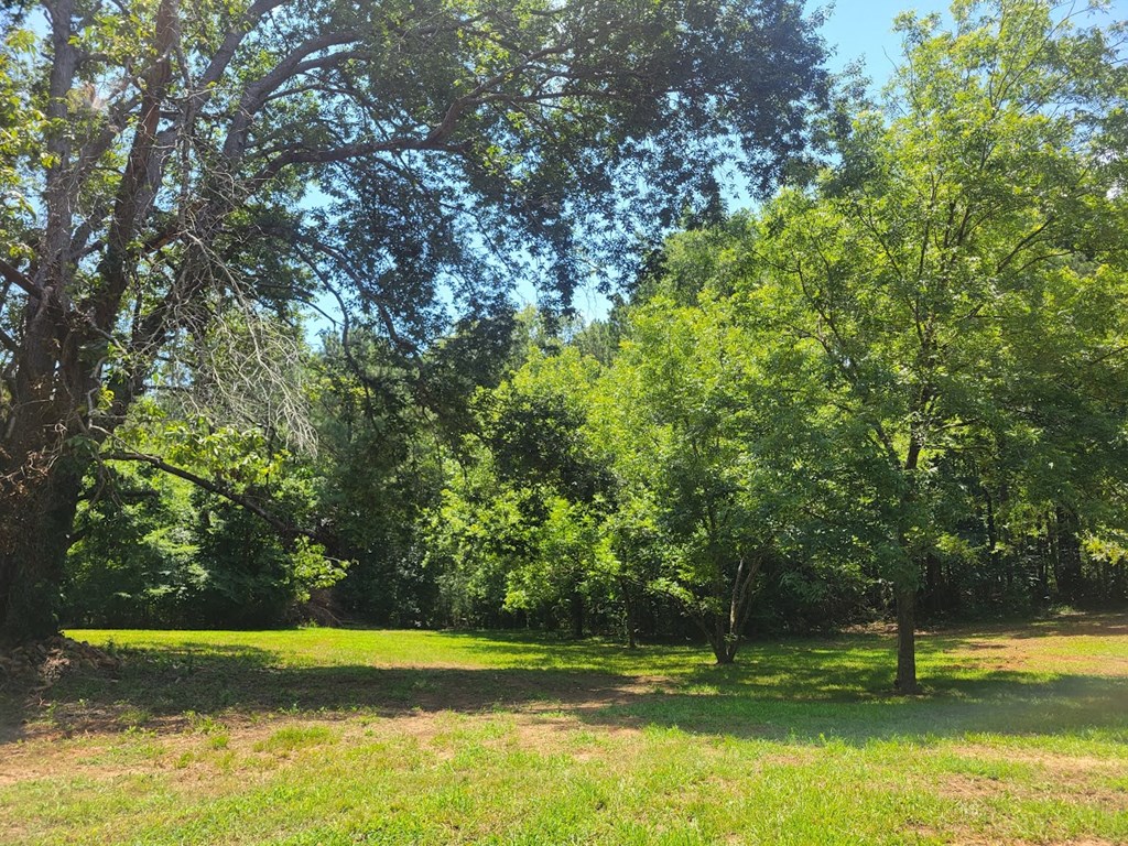 1114 Reedy Creek Road Bradley, SC 29819 - Photo 34 of 59