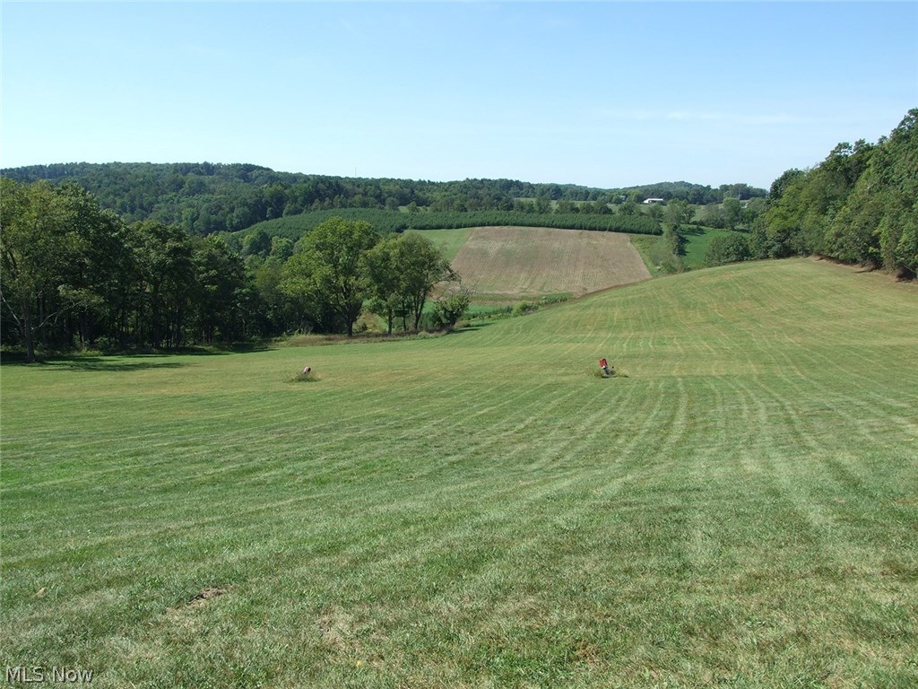 2067 Royal Road Southwest Dellroy, OH 44620 - Photo 3 of 8