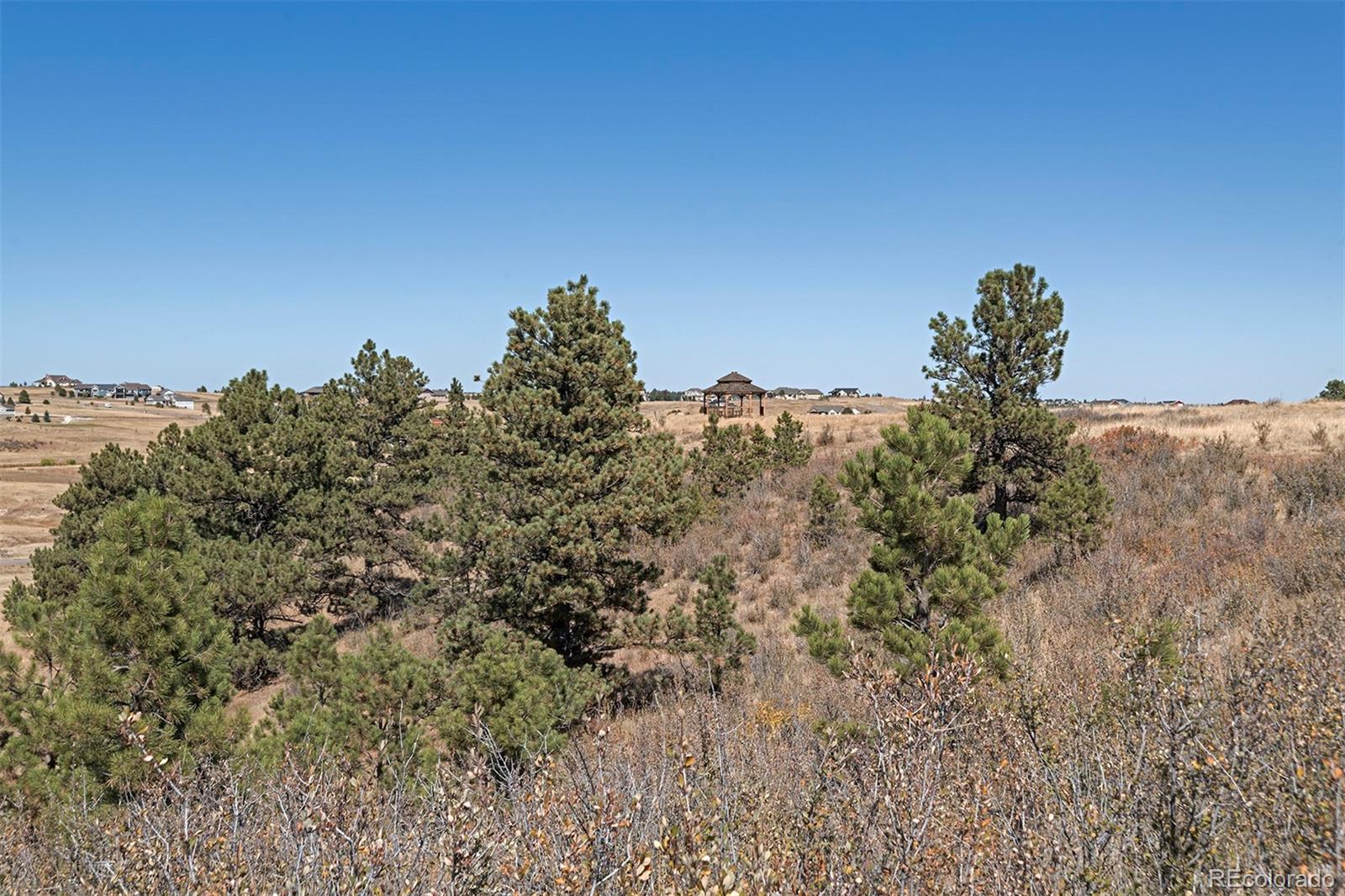 255 High Meadows Loop Elizabeth, CO 80107 - Photo 10 of 24