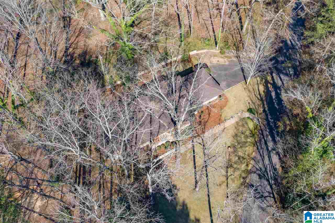 203 Primrose Path Sylacauga, AL 35150 - Photo 7 of 43