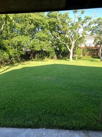 a view of yard with green space