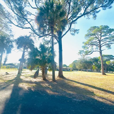 a view of a yard with a tree