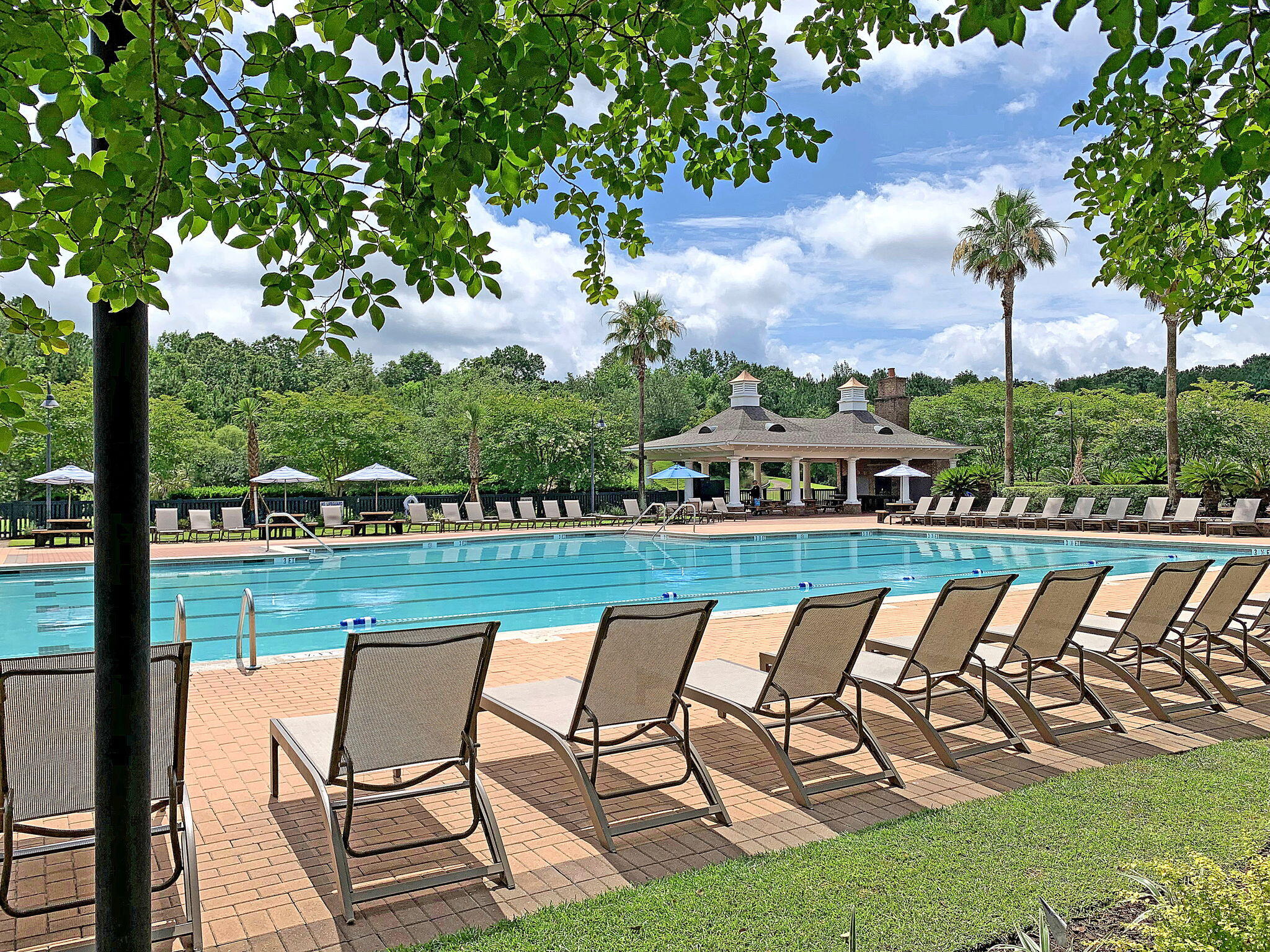 1516 Clarendon Way Mount Pleasant, SC 29466 - Photo 51 of 64 IMG_0925 copy