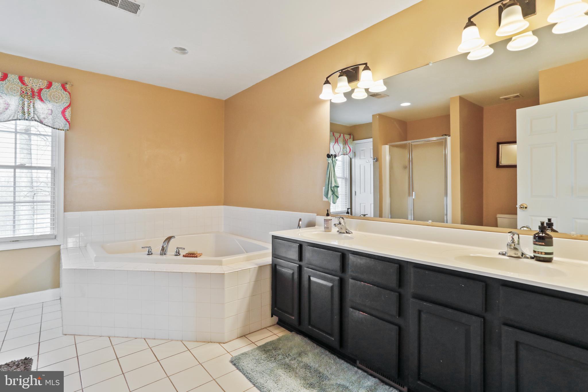 294 Freezeland Loop Road Linden, VA 22642 - Photo 35 of 83 Huge Primary bathroom w/separate soaking tub