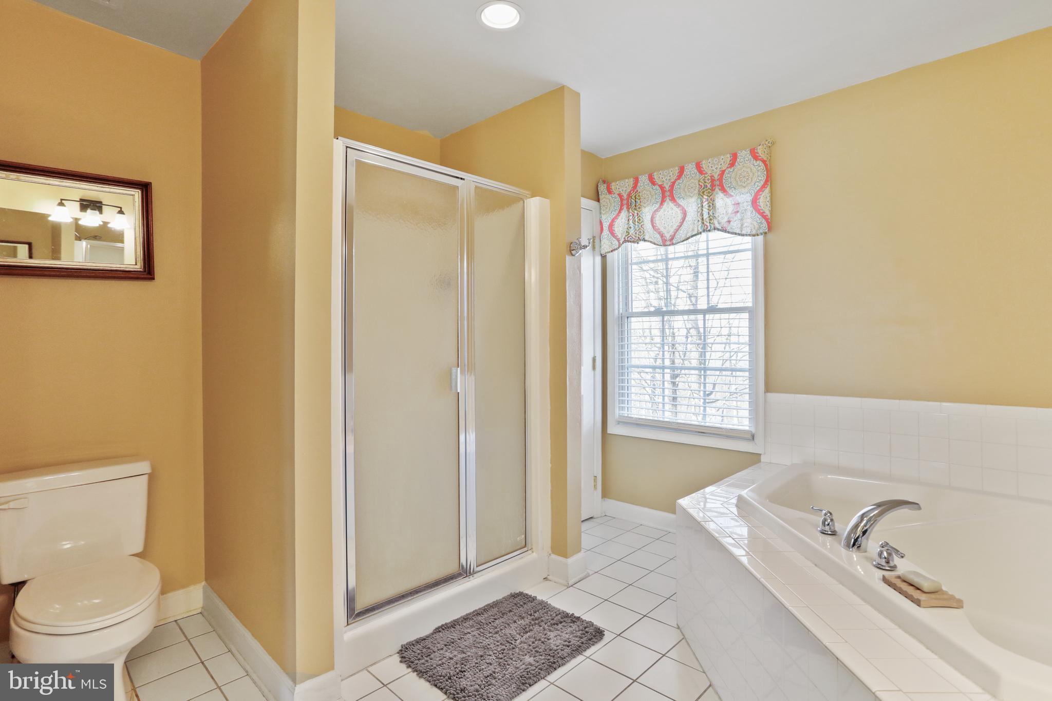 294 Freezeland Loop Road Linden, VA 22642 - Photo 36 of 83 Primary Bath w/separate shower