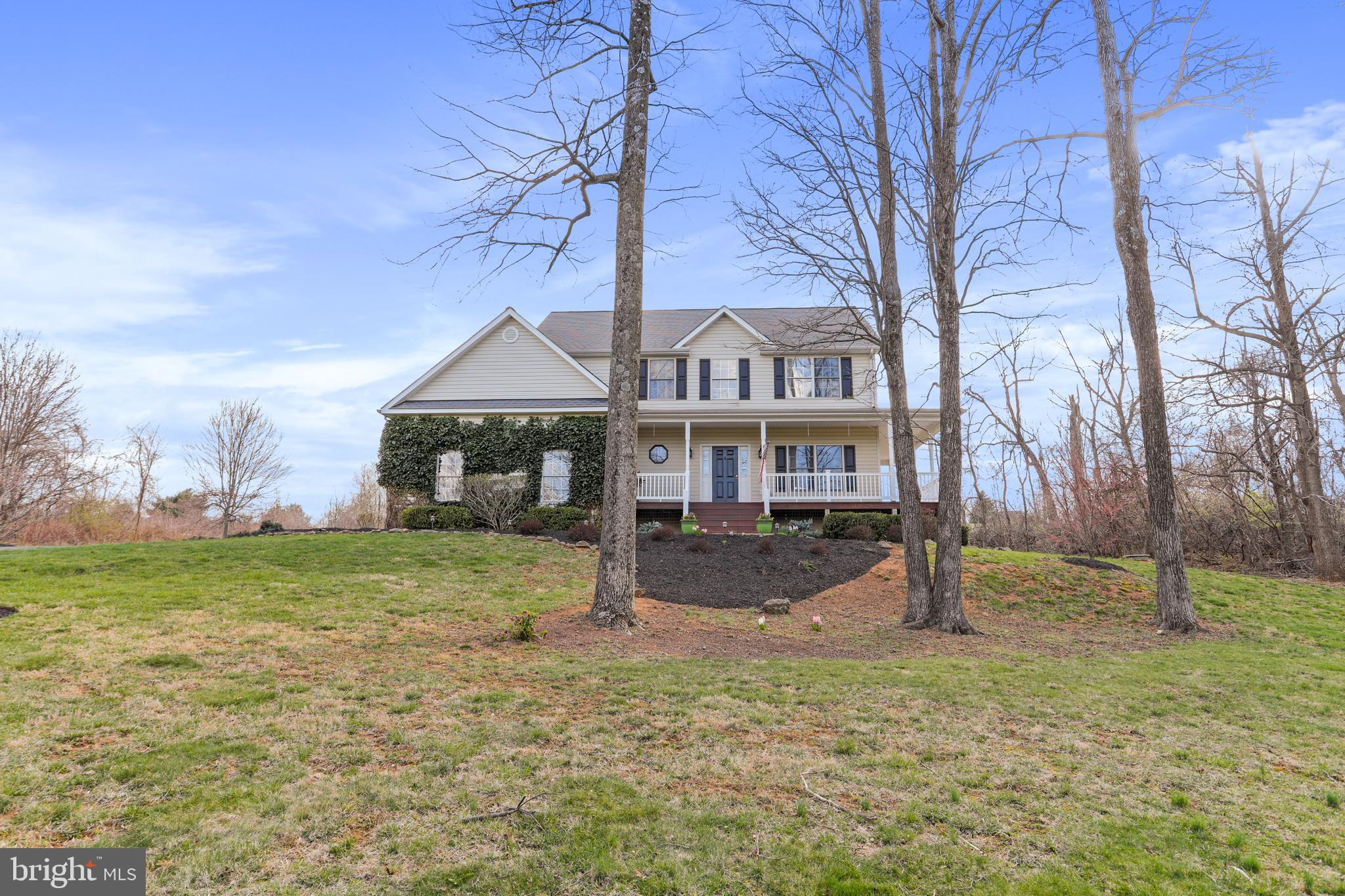 294 Freezeland Loop Road Linden, VA 22642 - Photo 4 of 83 Stately home with amazing views