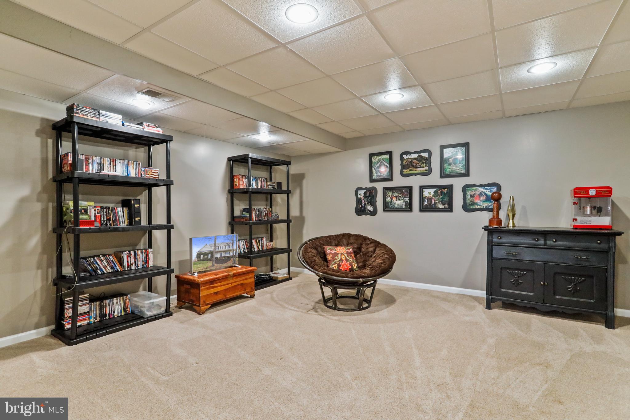 294 Freezeland Loop Road Linden, VA 22642 - Photo 46 of 83 Lower Level Media Room