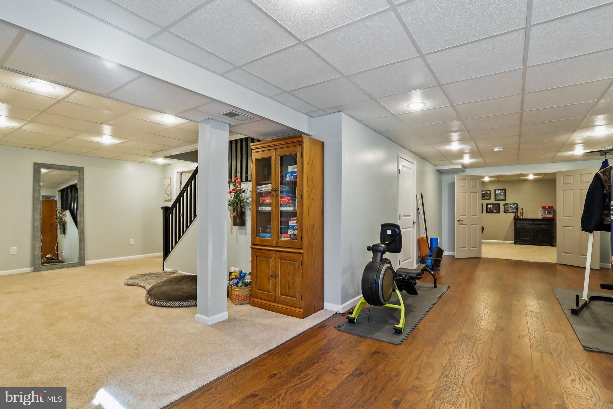 294 Freezeland Loop Road Linden, VA 22642 - Photo 49 of 83 Lower Level Rec Room/Work Out Area
