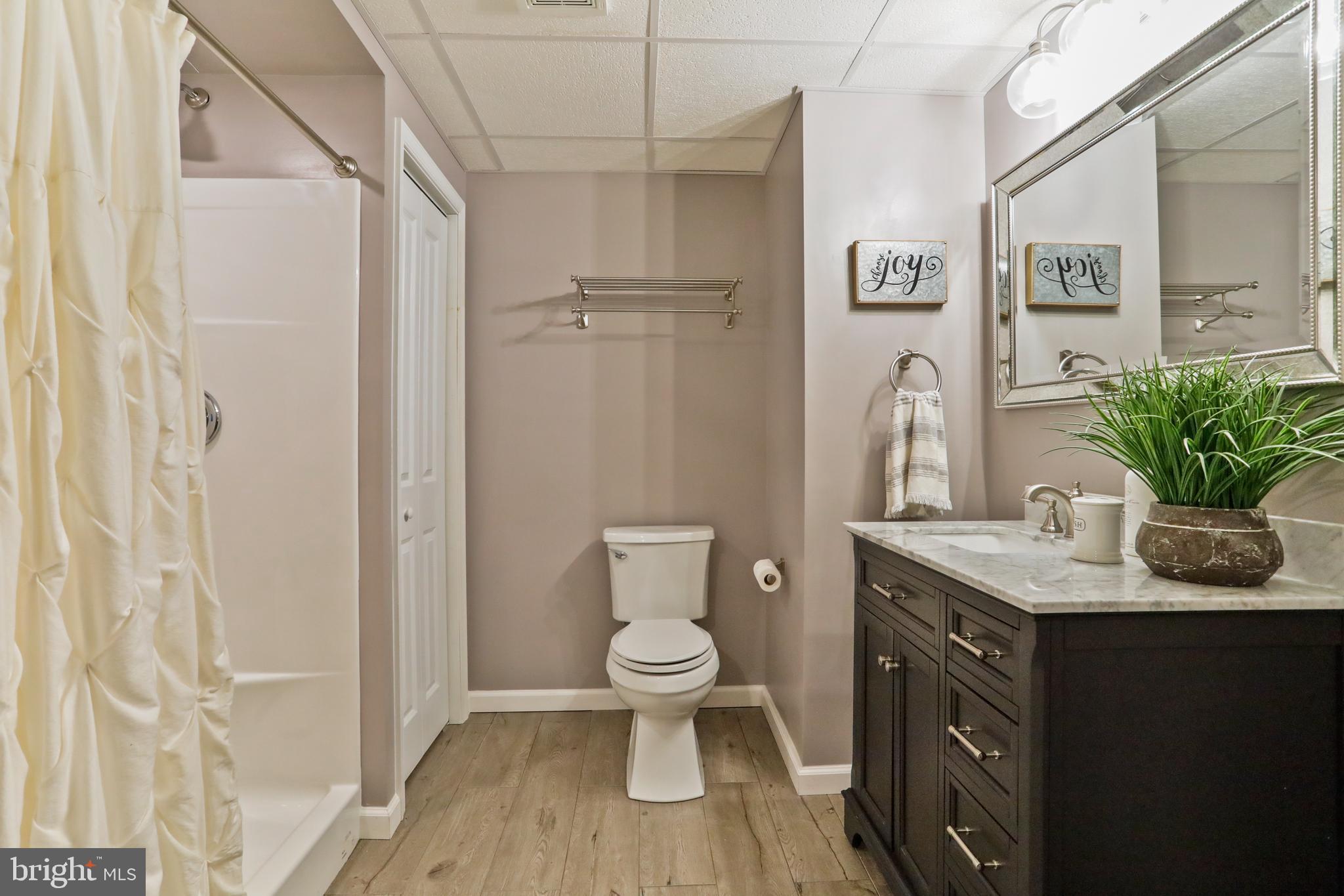 294 Freezeland Loop Road Linden, VA 22642 - Photo 51 of 83 Lower Level Full Bath