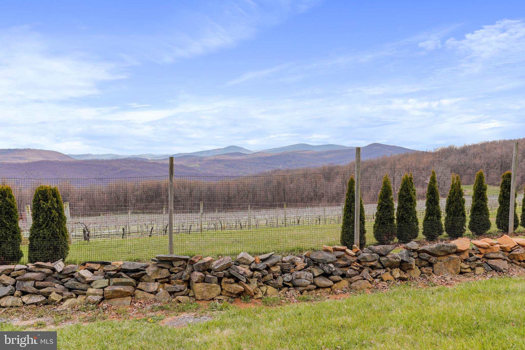 294 Freezeland Loop Road Linden, VA 22642 - Photo 7 of 83 Gallery Image 7