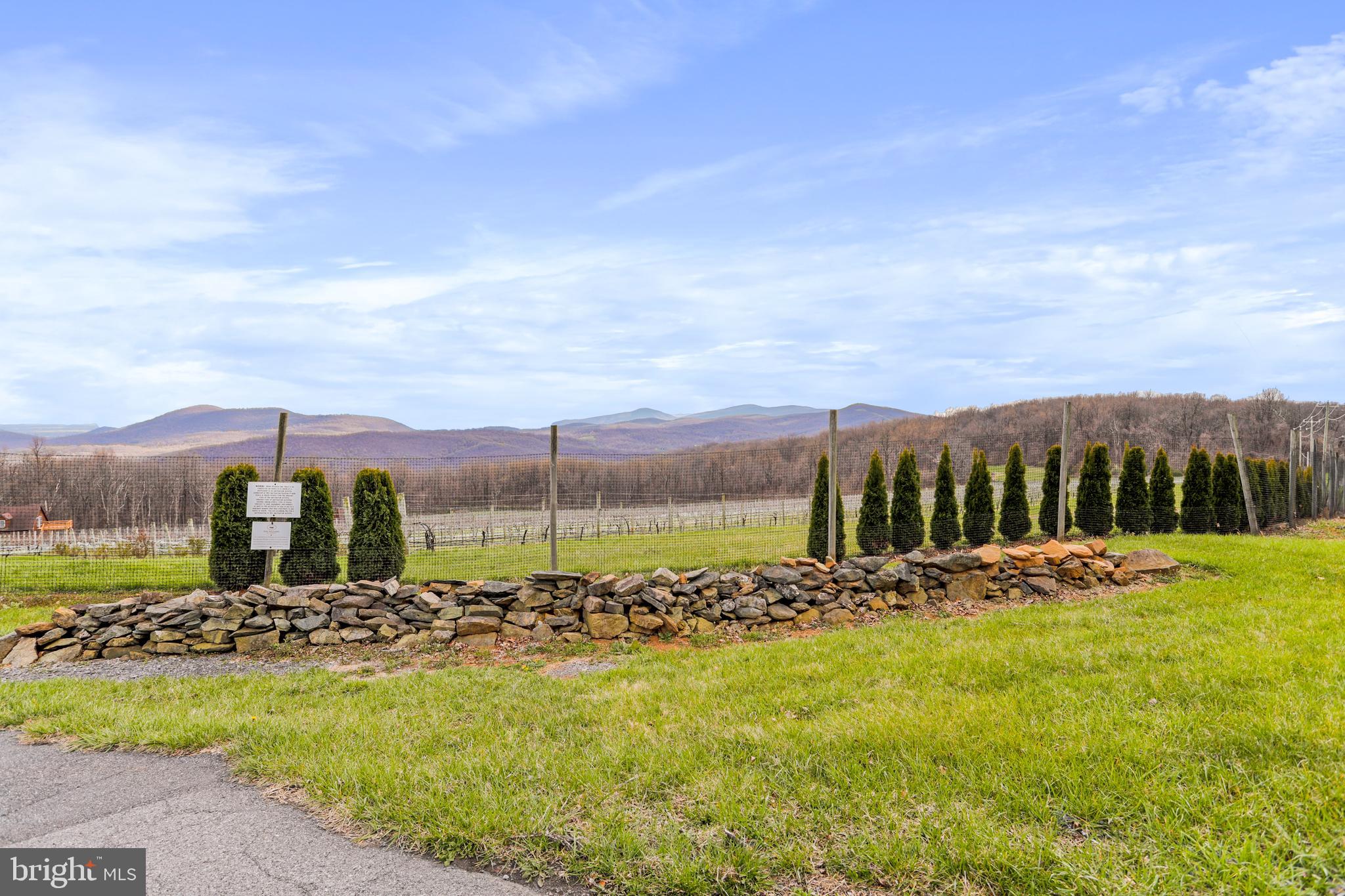 294 Freezeland Loop Road Linden, VA 22642 - Photo 8 of 83 Gallery Image 8