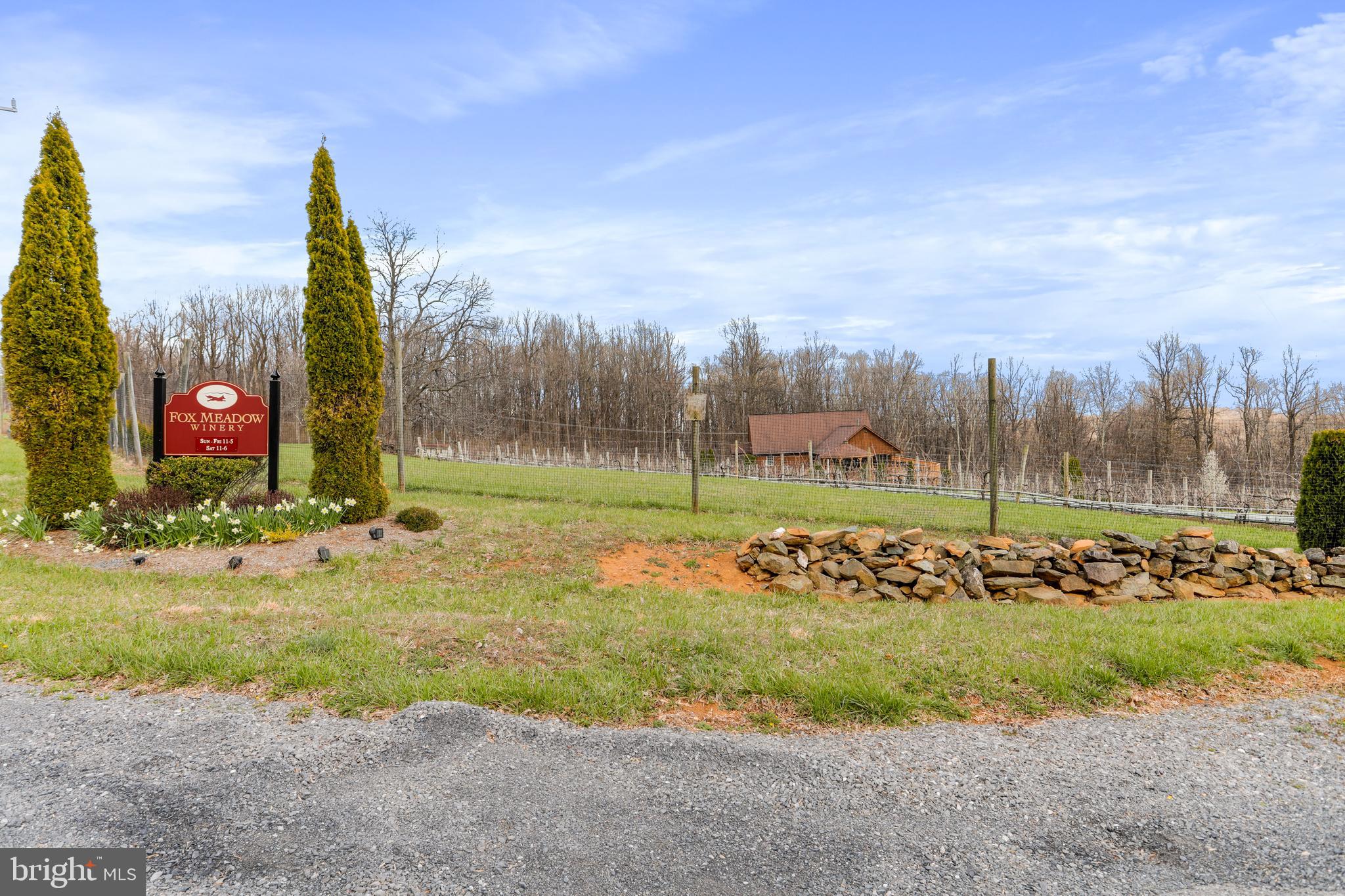 294 Freezeland Loop Road Linden, VA 22642 - Photo 9 of 83 Fox Meadow Vineyard is just a stones throw