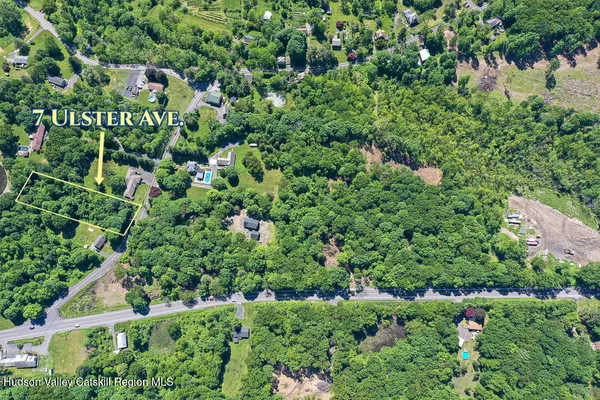 view of a bunch of trees and bushes