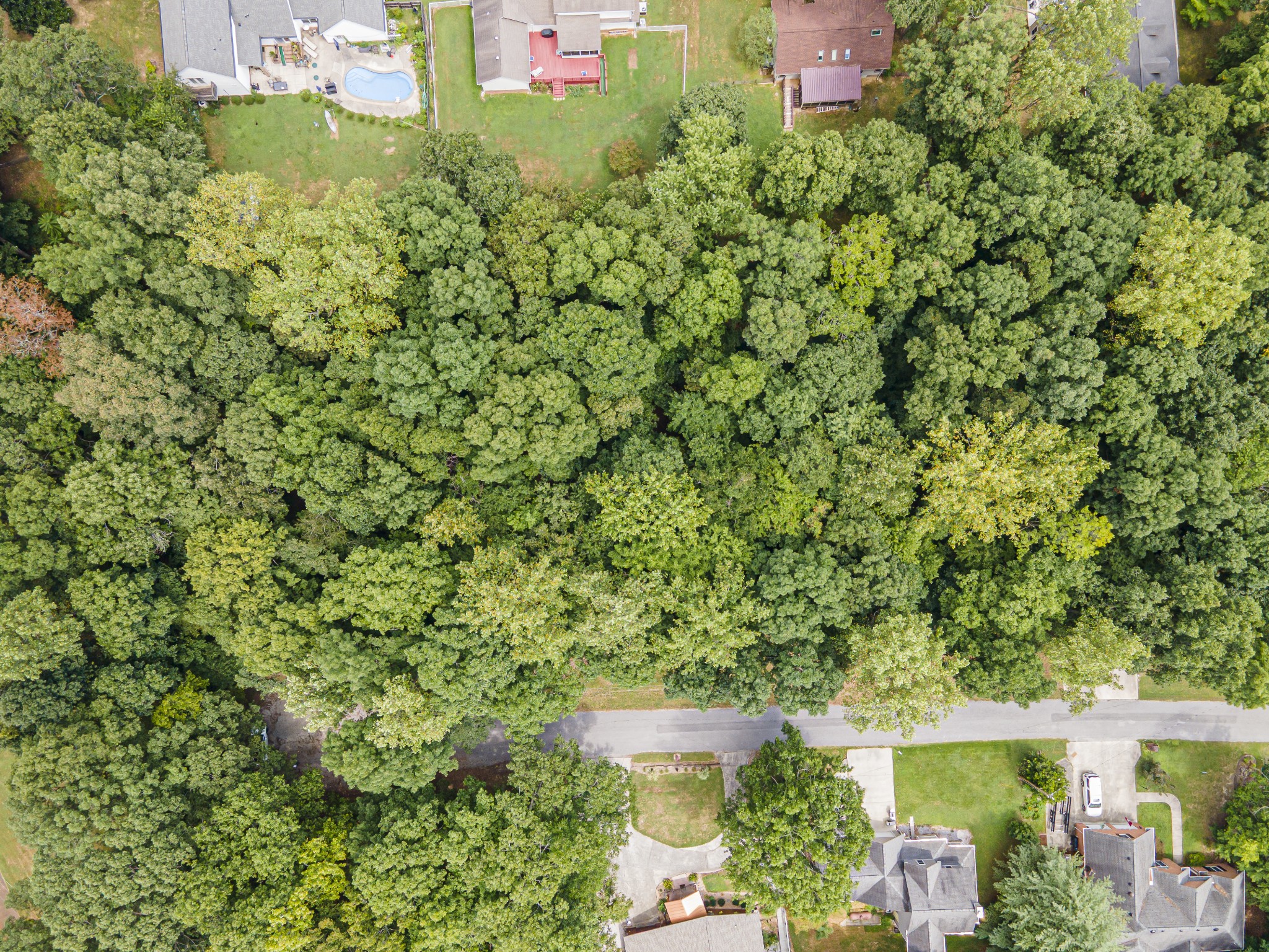 0 Fire Lake Drive Manchester, TN 37355 - Photo 3 of 7 a backyard of a house with a yard and outdoor seating