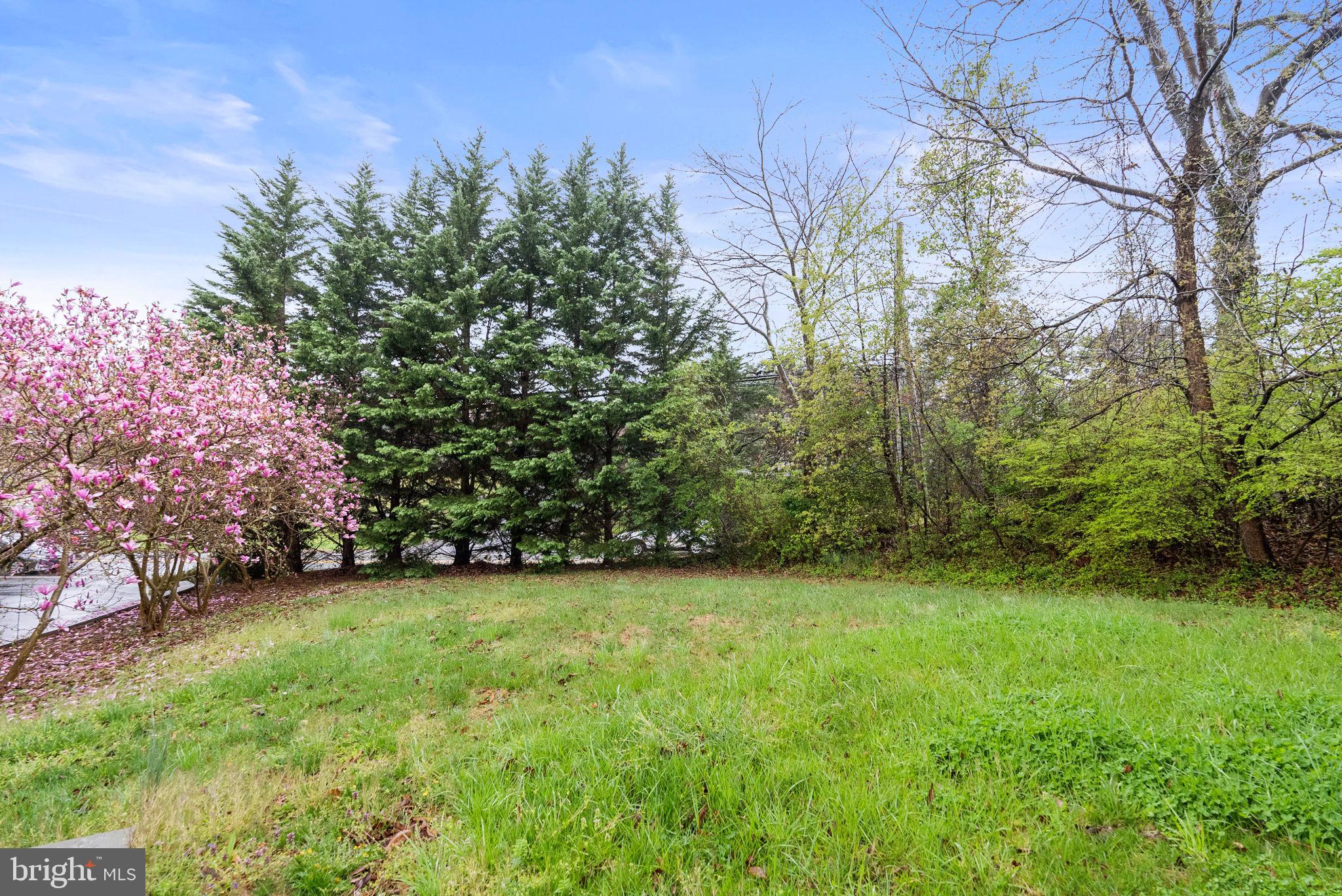 8522 Lewinsville Road McLean, VA 22102 - Photo 51 of 51 a view of a green yard
