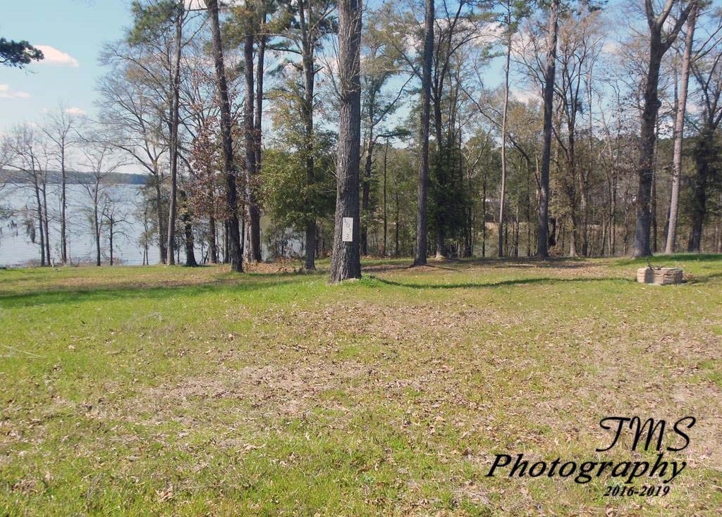 Lot 5 County Line Road Georgetown, GA 39854 - Photo 3 of 8