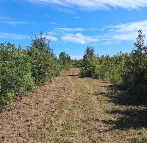 $28,900 | 3 B Bowie Road, Troy, SC 29848