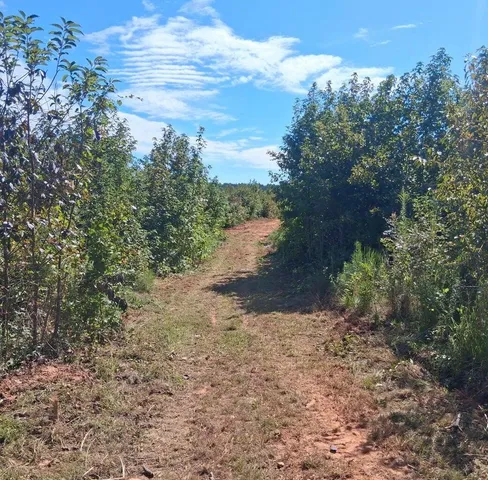 $28,900 | 3 B Bowie Road, Troy, SC 29848