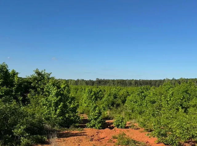 $28,900 | 3 B Bowie Road, Troy, SC 29848