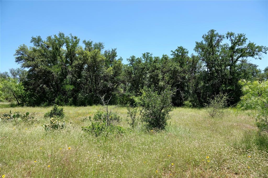219 C R 550 Mullin, TX 76864 - Photo 7 of 37 a view of a yard with a tree