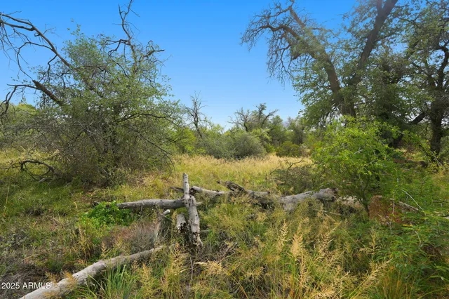 $55,000 | 1243 East Aldwinkle Place, Oracle, AZ 85623