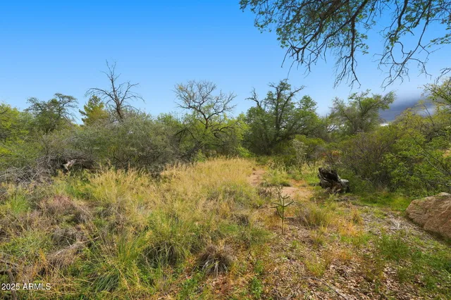 $55,000 | 1243 East Aldwinkle Place, Oracle, AZ 85623