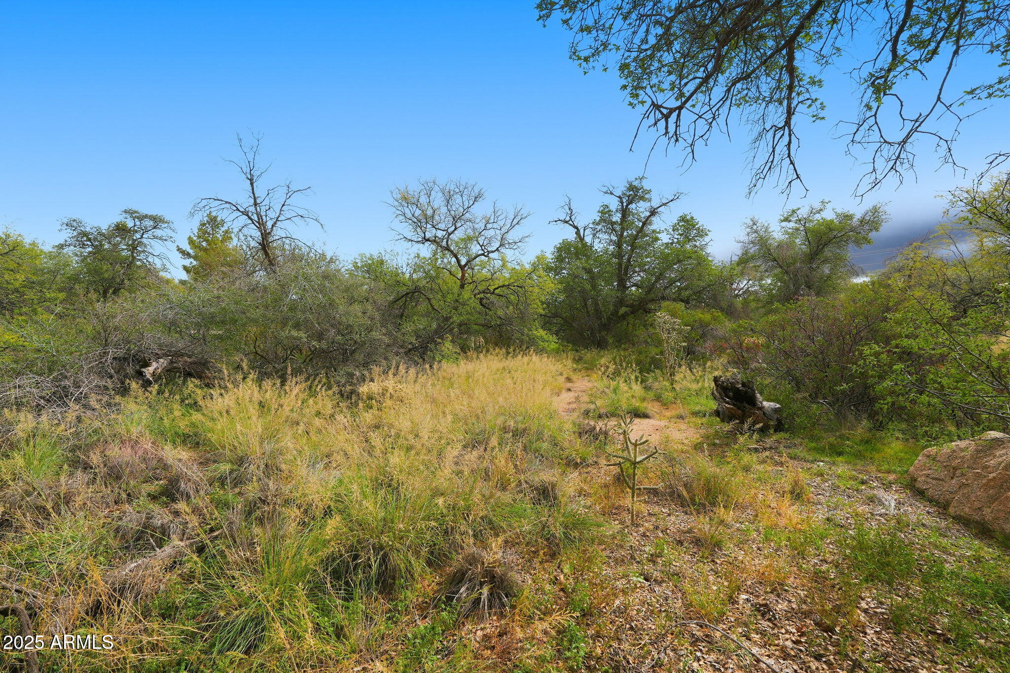 1243 East Aldwinkle Place Oracle, AZ 85623 - Photo 27 of 33 021_ListerPros