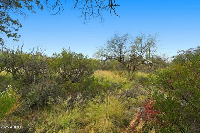 $55,000 | 1243 East Aldwinkle Place, Oracle, AZ 85623