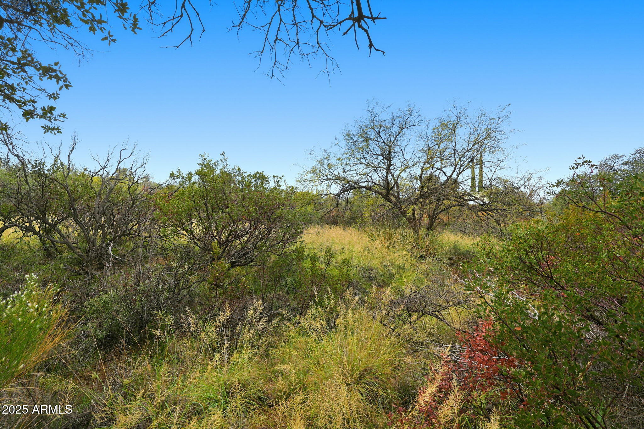 1243 East Aldwinkle Place Oracle, AZ 85623 - Photo 29 of 33 023_ListerPros