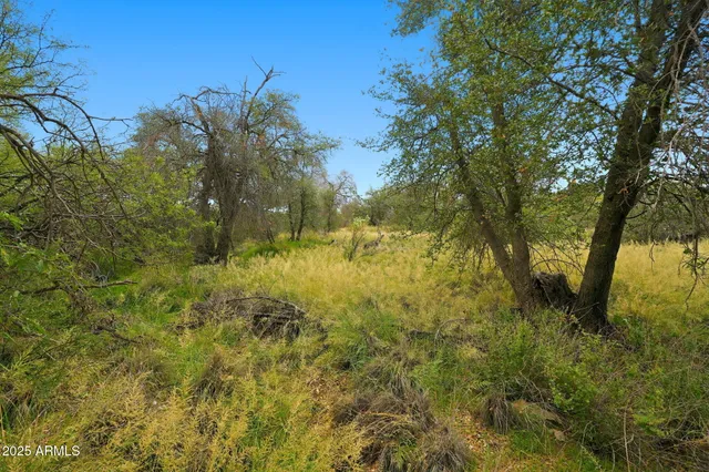 $55,000 | 1243 East Aldwinkle Place, Oracle, AZ 85623