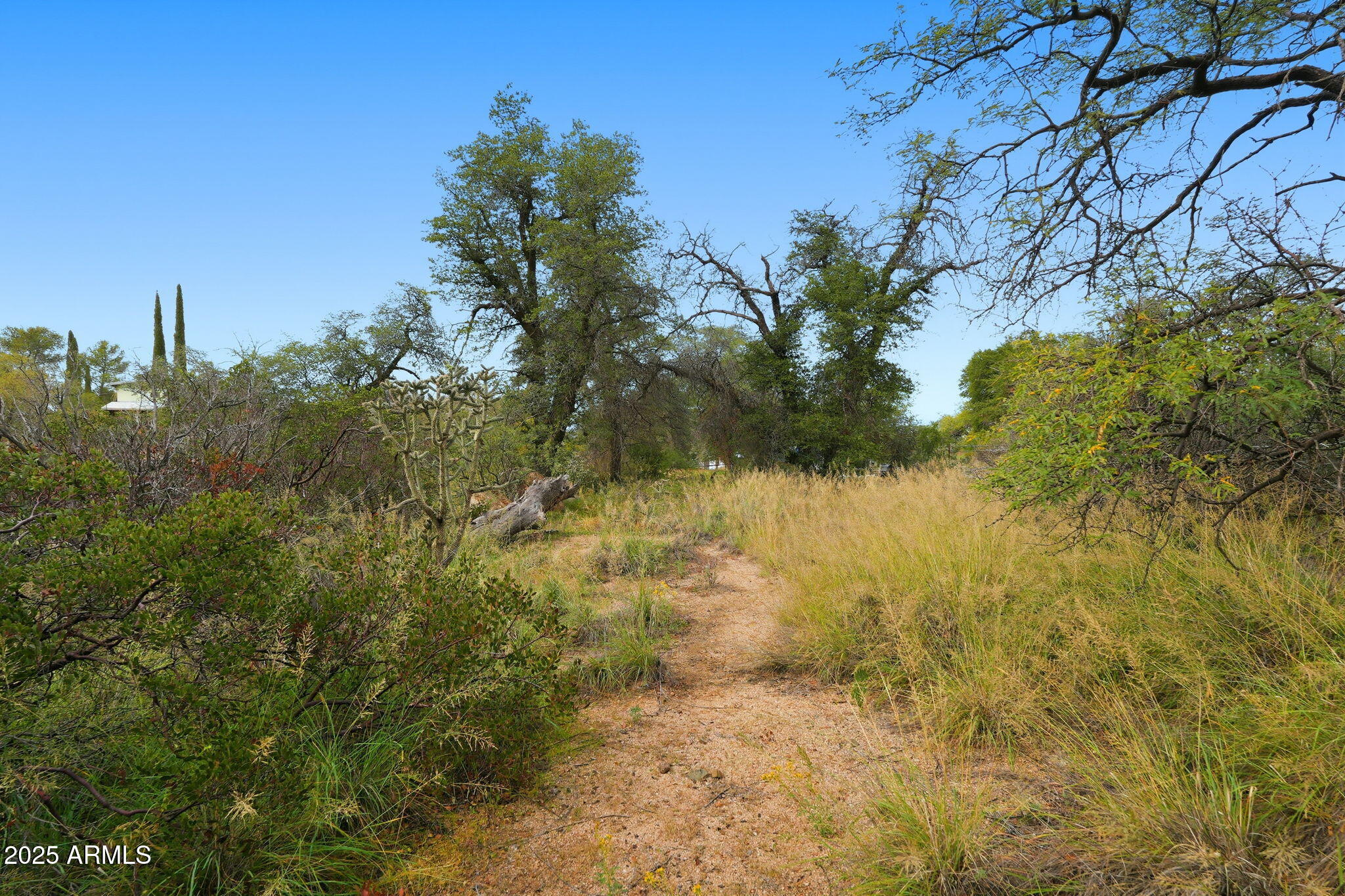 1243 East Aldwinkle Place Oracle, AZ 85623 - Photo 31 of 33 026_ListerPros