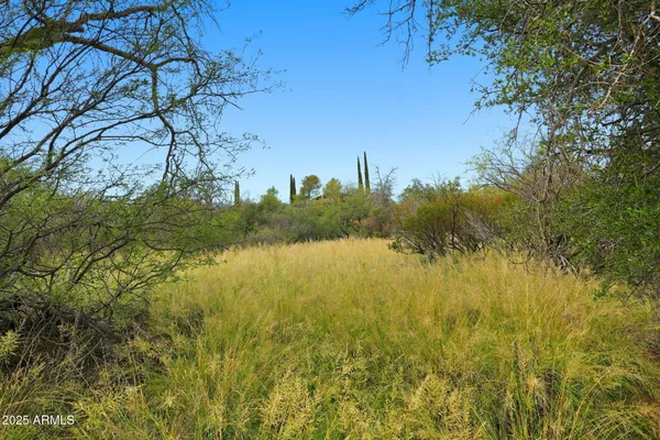 a view of a lake with a house in background