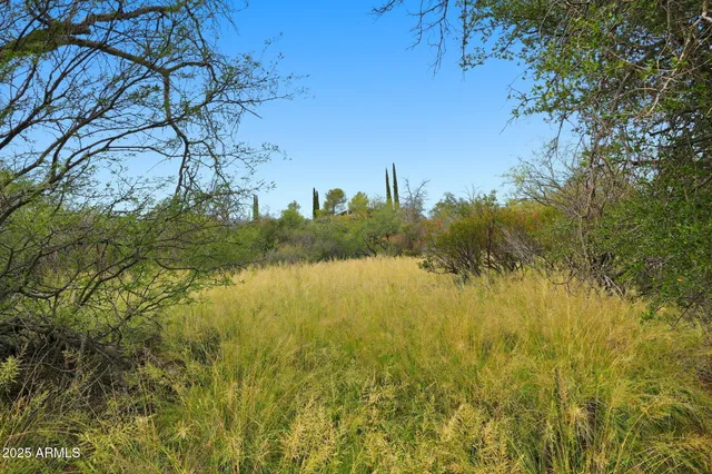 $55,000 | 1243 East Aldwinkle Place, Oracle, AZ 85623