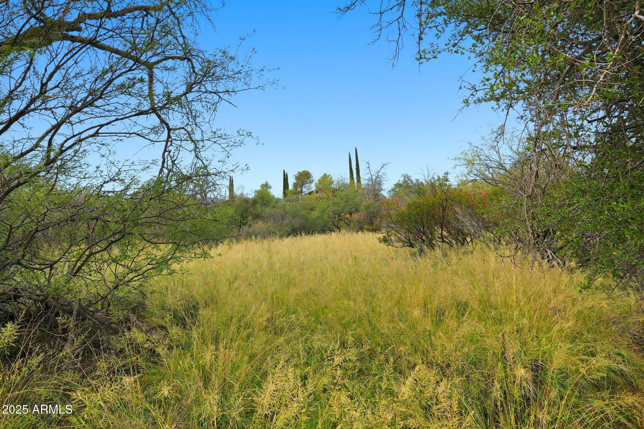 1243 East Aldwinkle Place Oracle, AZ 85623 - Photo 8 of 33 025_ListerPros