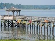 1 Winding Oak Drive Okatie, SC 29909 - Photo 20 of 30 Crab Traps