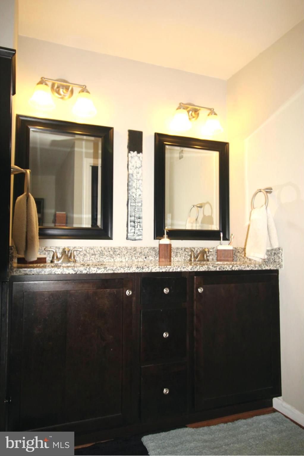 11186 Silentwood Lane Reston, VA 20191 - Photo 16 of 30 Bath (Master)