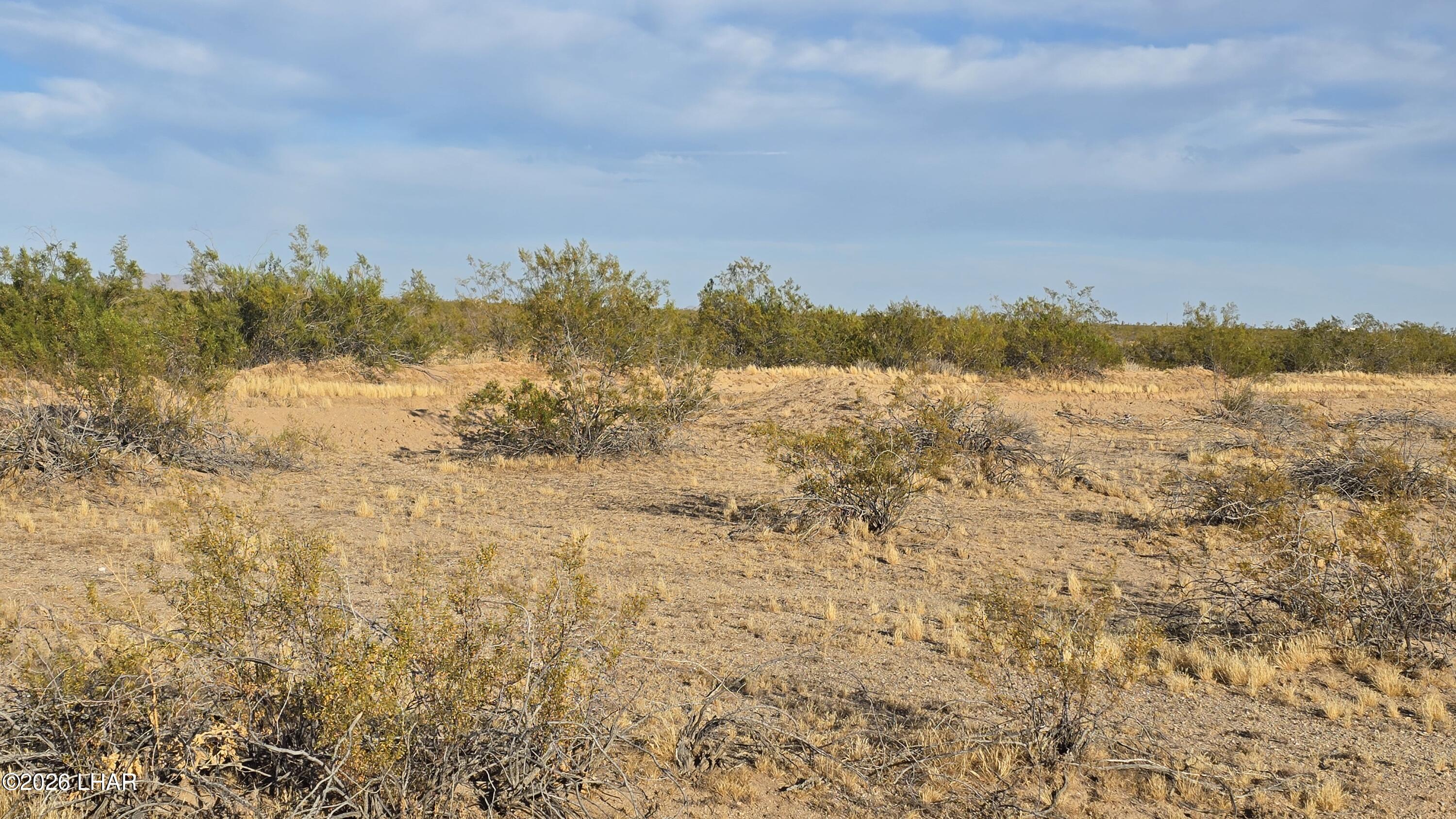 123-08-006 South Gene Autry Road Yucca, AZ 86438 - Photo 5 of 15