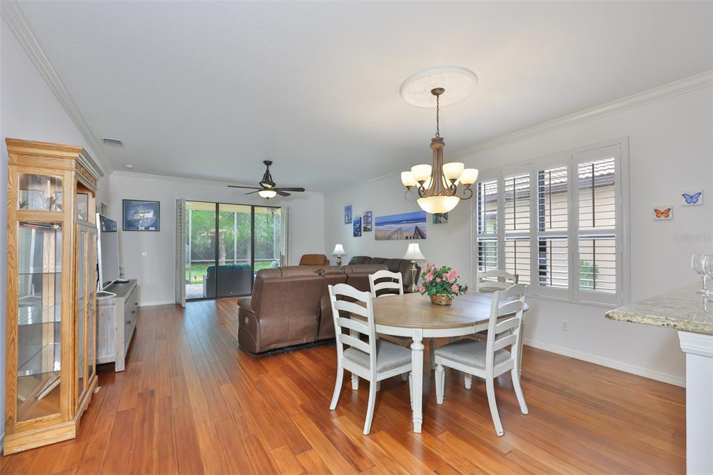 147 Silver Falls Drive Apollo Beach, FL 33572 - Photo 13 of 72