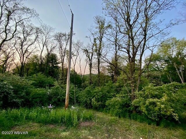0 Lower Rynearson Road Muncy, PA 17756 - Photo 2 of 2 Gallery Image 2