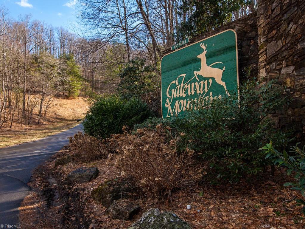 962-963 Bat Cave Road Old Fort, NC 28762 - Photo 1 of 15 Gateway Mountain Entrance