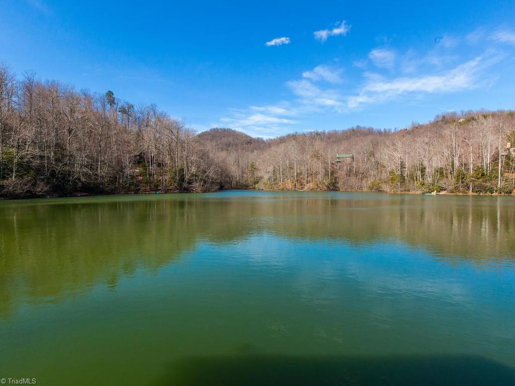 962-963 Bat Cave Road Old Fort, NC 28762 - Photo 13 of 15 Gallery Image 13