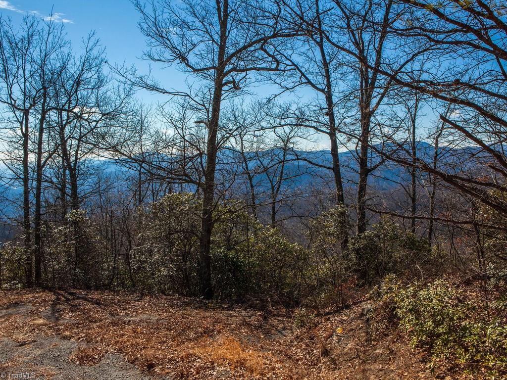 962-963 Bat Cave Road Old Fort, NC 28762 - Photo 3 of 15 Lot views